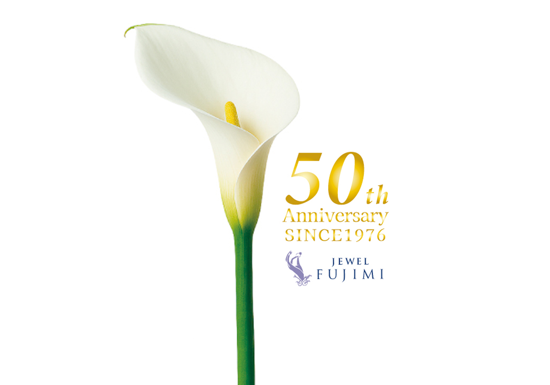 ジュエルフジミ50周年